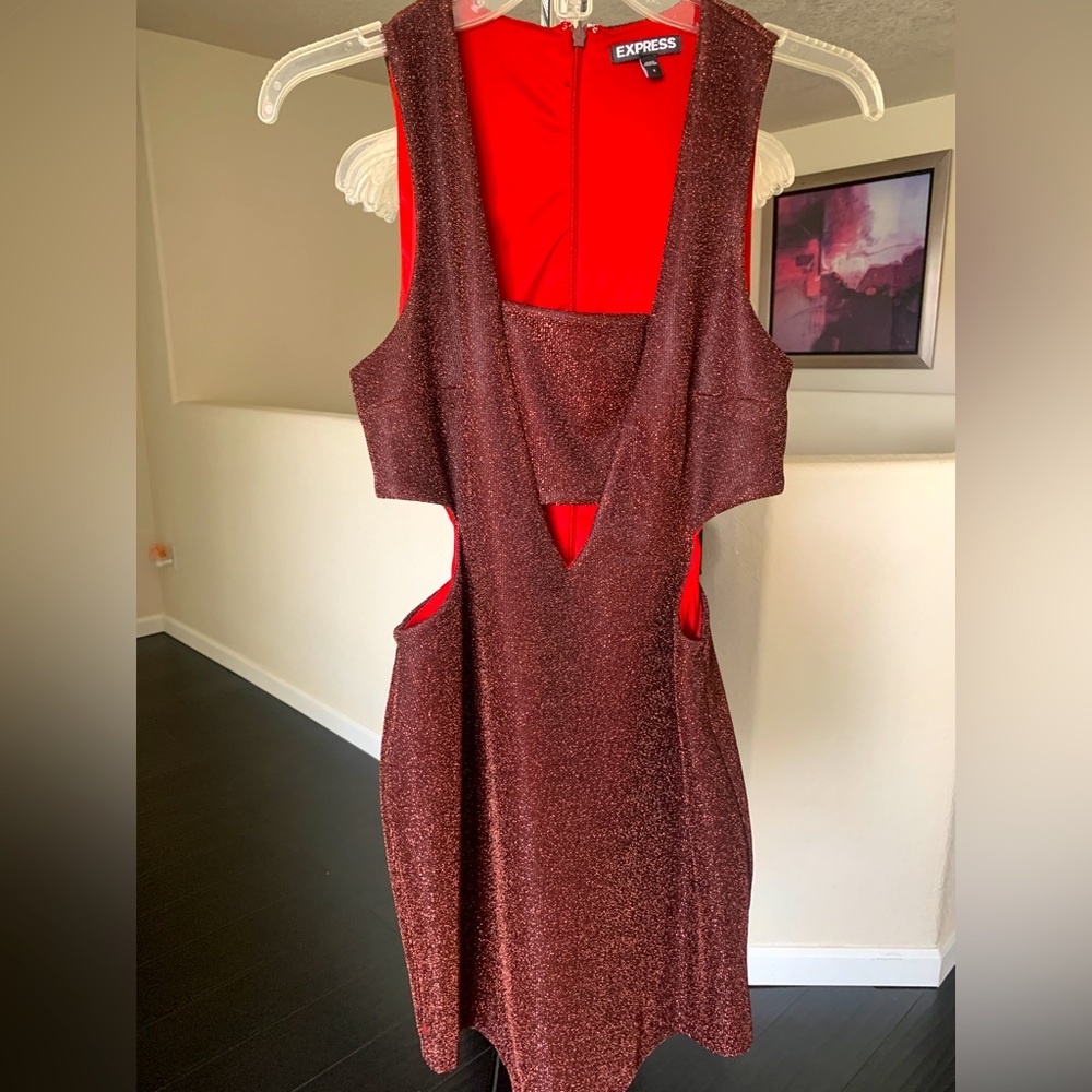 EUC Express Crimson/Maroon MIDI dress